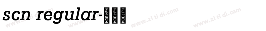 scn regular字体转换